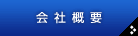 ЊTv